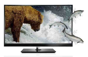 TV LED